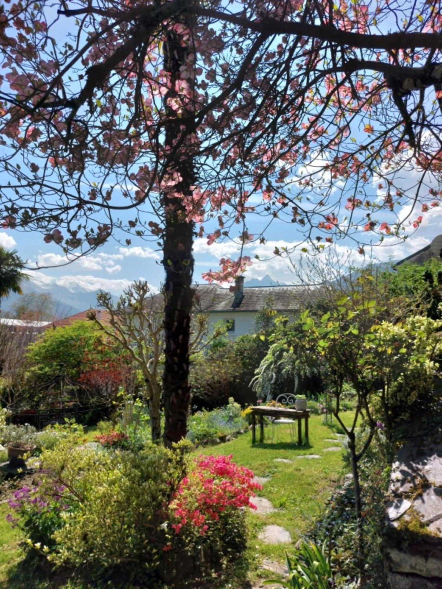 Logis Hotel Beau Site Argeles-Gazost Luaran gambar